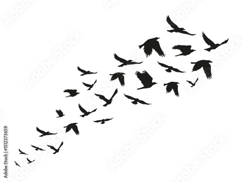 A flock of black crows. Halloween birds. Vector clipart.