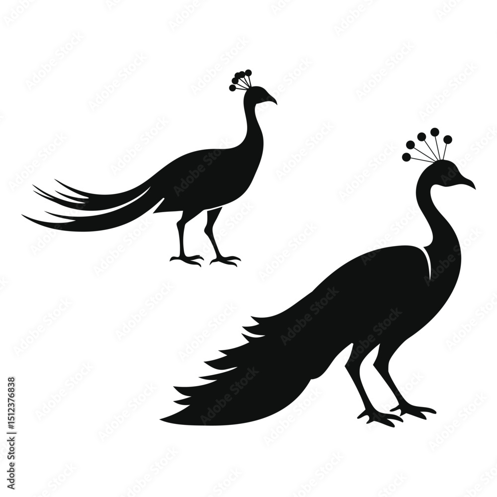 Fototapeta premium Two peacock silhouettes isolated on white background