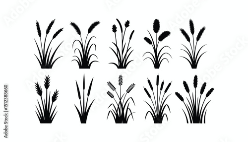Silhouette Set of Wild Grass and Reed Plants – Black Nature Elements Isolated on White Background