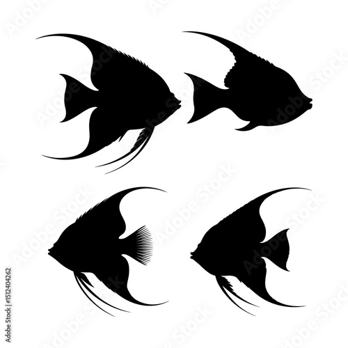 Silhouette depiction of four angelfish swimming in different directions on a white background view image