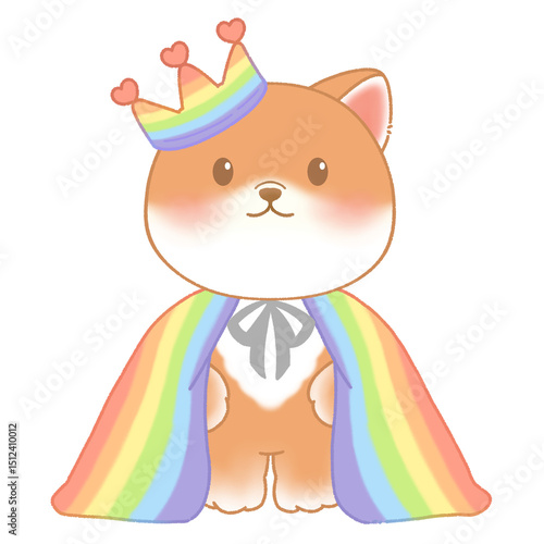 Rainbow Blanket Dog