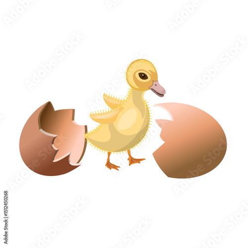 Chick hatching egg. Newborn duckling with broken eggshell in poultry incubator. Vector illustration isolated on white background