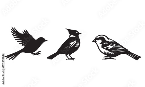 Bird set silhouette vector illustration.