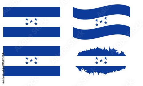 Honduras flag in different forms