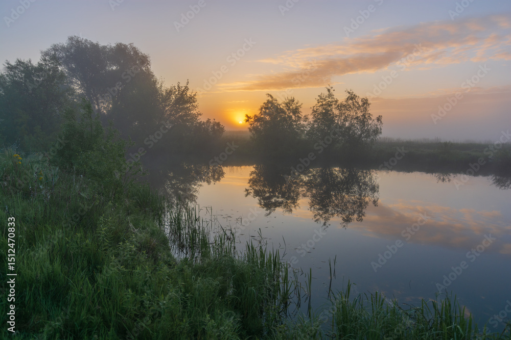 Fototapeta premium misty morning on the river