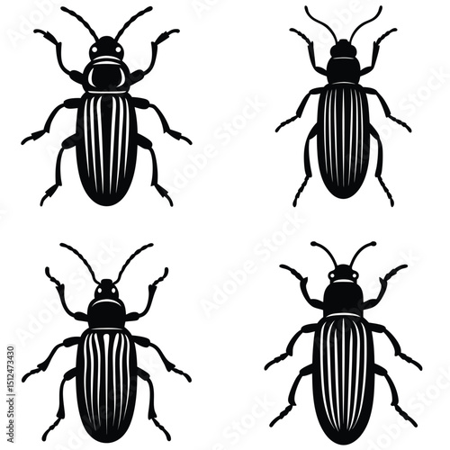 A vector collection of diverse beetle insects, isolated on a white background, perfect for close-up views of nature's tiny wildlife