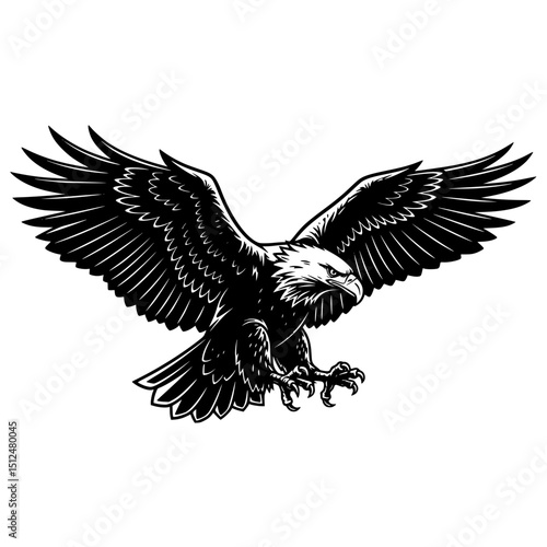 Eagle vector illustration flying eagle bald eagle american eagle soaring eagle bird of prey predator art