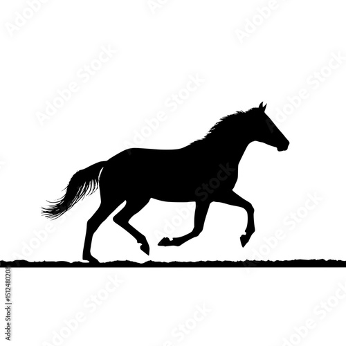Black horse silhouette running wild animal equestrian mammal equine mustang thoroughbred racehorse stallion
