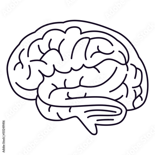 Brain outline stroke