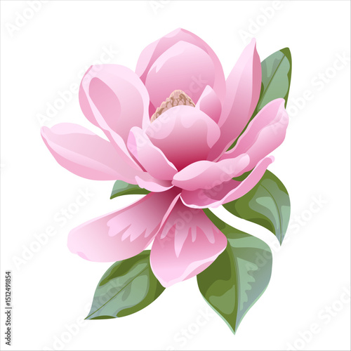 lotus flower vector illustration