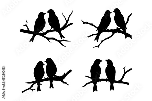 Silhouette of two birds perched on a branch, a romantic and peaceful scene, perfect for nature lovers and those seeking simple beauty.
