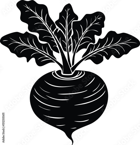 Kohlrabi with Leaves Silhouette | Natural Black Art for Vegan Illustration Vector