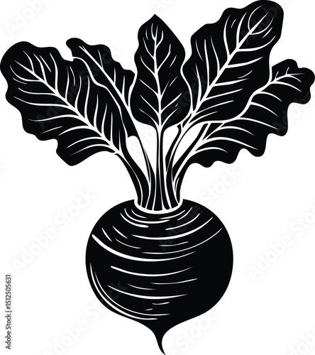 Kohlrabi with Leaves Silhouette | Natural Black Art for Vegan Illustration Vector