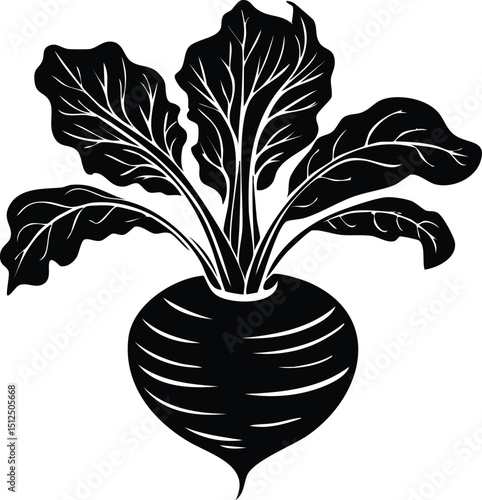 Kohlrabi with Leaves Silhouette | Natural Black Art for Vegan Illustration Vector