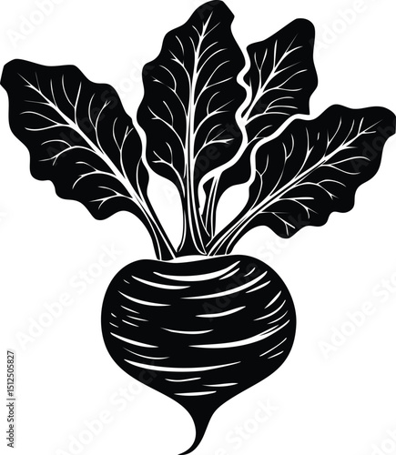Kohlrabi with Leaves Silhouette | Natural Black Art for Vegan Illustration Vector