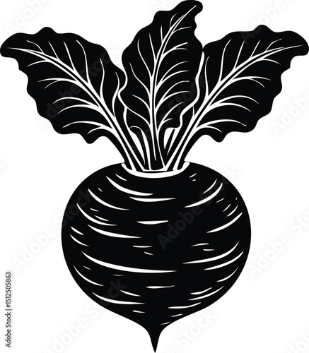 Kohlrabi with Leaves Silhouette | Natural Black Art for Vegan Illustration Vector