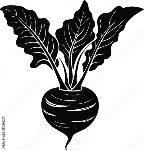 Kohlrabi with Leaves Silhouette | Natural Black Art for Vegan Illustration Vector