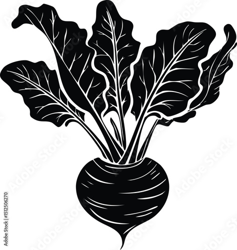 Kohlrabi with Leaves Silhouette | Natural Black Art for Vegan Illustration Vector