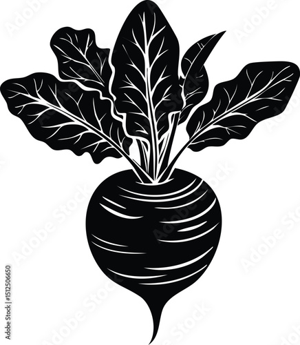 Kohlrabi with Leaves Silhouette | Natural Black Art for Vegan Illustration Vector