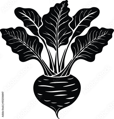 Kohlrabi with Leaves Silhouette | Natural Black Art for Vegan Illustration Vector