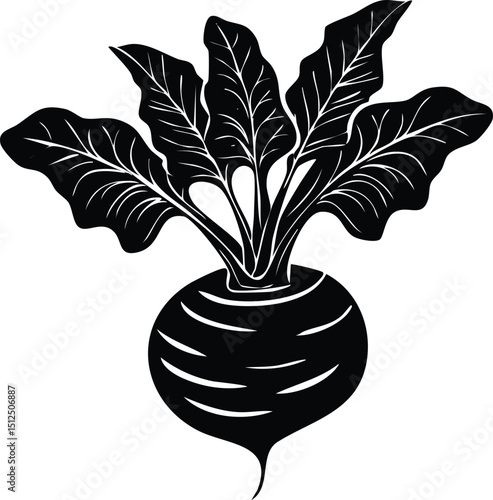 Kohlrabi with Leaves Silhouette | Natural Black Art for Vegan Illustration Vector