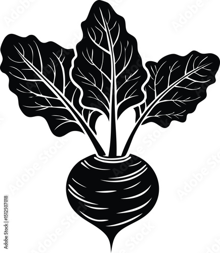 Kohlrabi with Leaves Silhouette | Natural Black Art for Vegan Illustration Vector