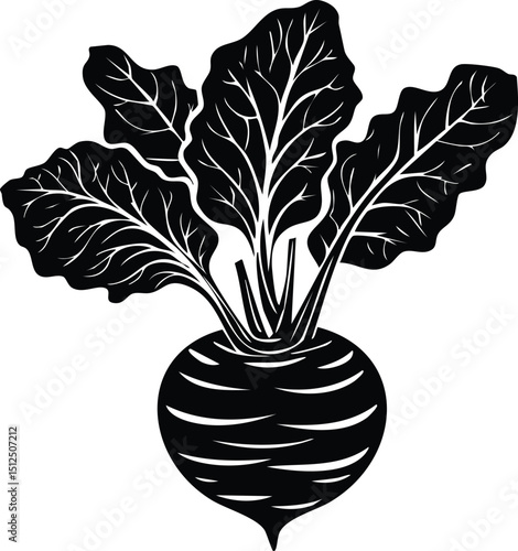 Kohlrabi with Leaves Silhouette | Natural Black Art for Vegan Illustration Vector