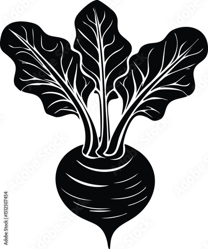 Kohlrabi with Leaves Silhouette | Natural Black Art for Vegan Illustration Vector