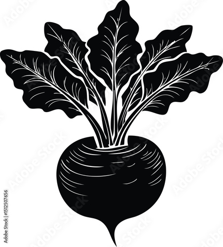 Kohlrabi with Leaves Silhouette | Natural Black Art for Vegan Illustration Vector