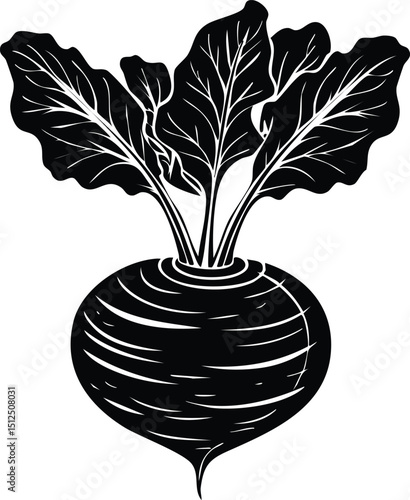 Kohlrabi with Leaves Silhouette | Natural Black Art for Vegan Illustration Vector