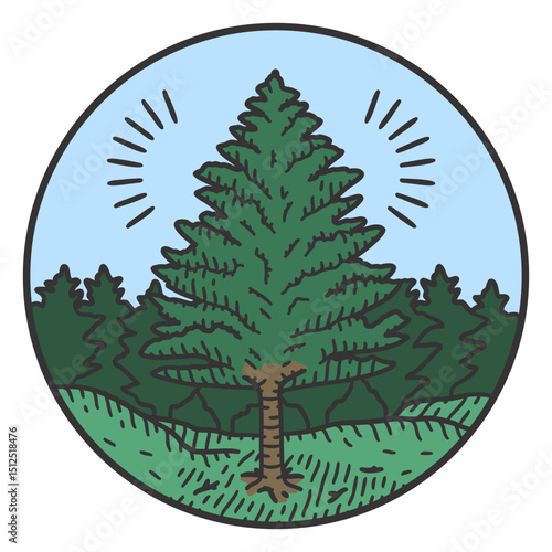 Pine tree natural element color stroke