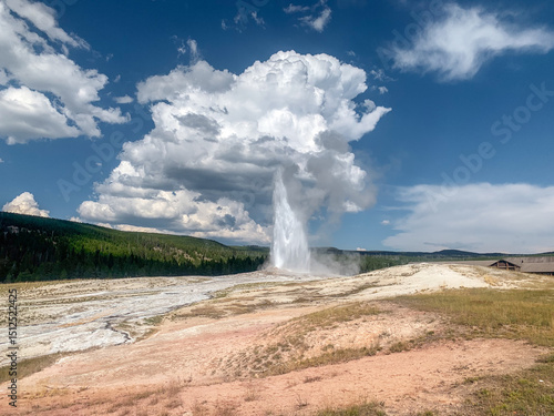 Wallpaper Mural old faithful, Yellowstone nps Torontodigital.ca