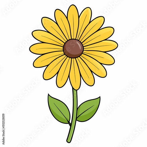 yellow daisy flower