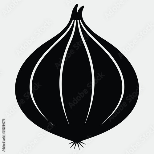 vector illustration of an onion