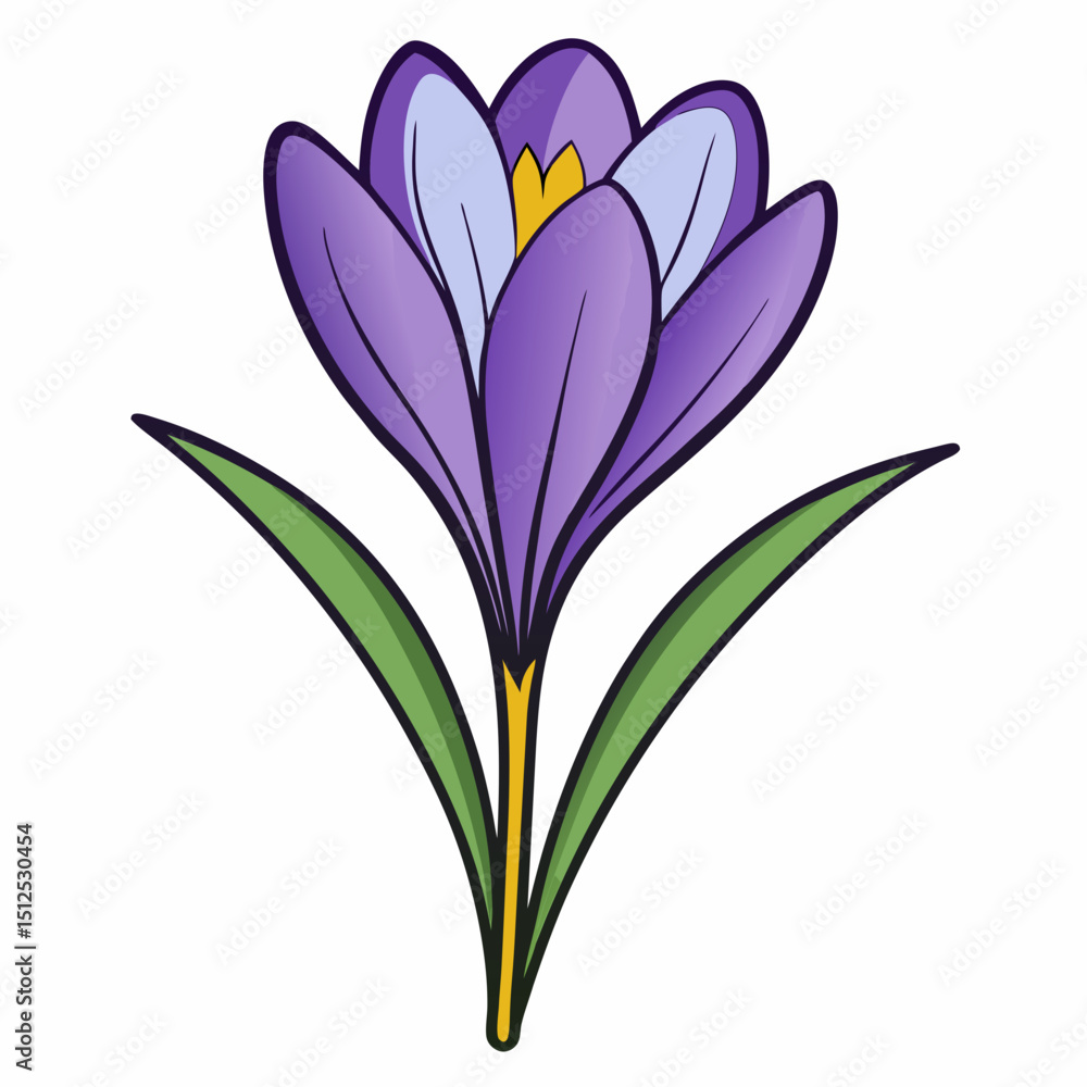 Naklejka premium purple crocus flowers