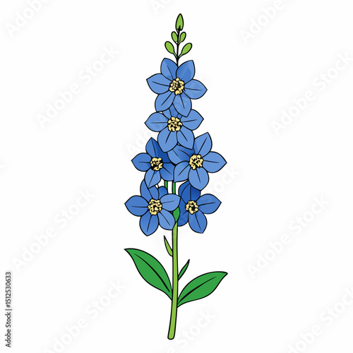 forget me not