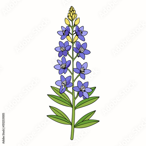 forget me not flowers