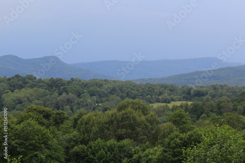 green forests against the backdrop of the Caucasus Mountains in the fog