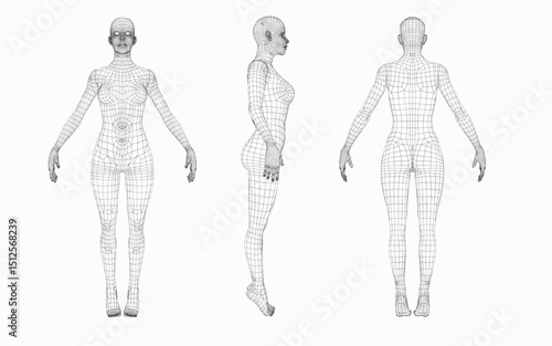 woman body  wireframe from different sides, front view,back view,side view, futuristic and technology