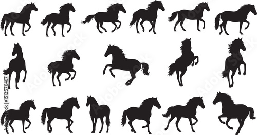 horse silhouettes collection