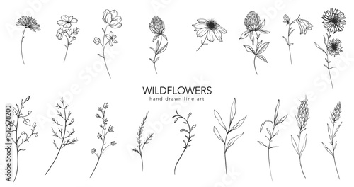 Trendy floral wildflowers and leaves line art illustration. Botanical Line Art Collection of wildflowers. Hand drawn line art graphics. Luxury Fine Line Floral Art. Perfect for Elegant wedding invite