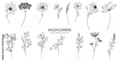 Trendy floral wildflowers and leaves line art illustration. Botanical Line Art Collection of wildflowers. Hand drawn line art graphics. Luxury Fine Line Floral Art. Perfect for Elegant wedding invite
