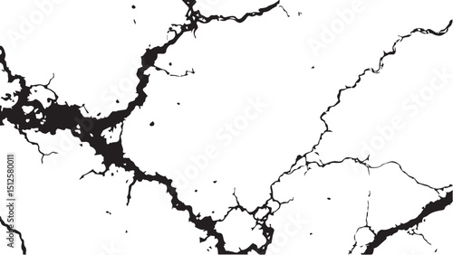 Vector grunge cracked texture. Black cracks isolated on white background. Abstract cracked texture .	