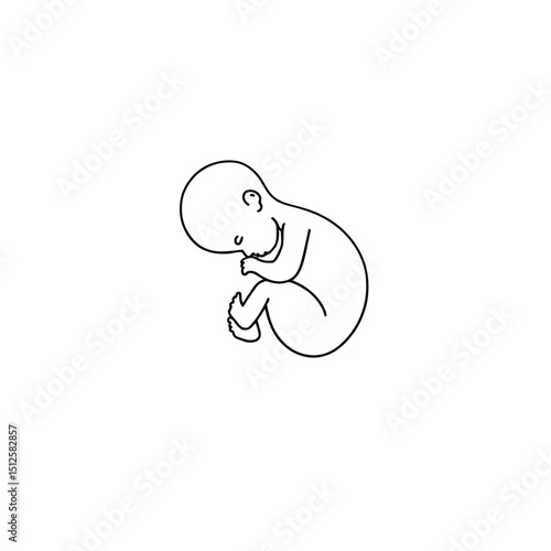 Fetus silhouette in utero position isolated on white background