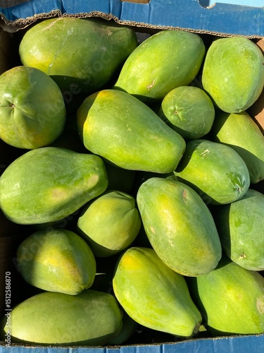 Fresh green papayas stacked at a market stall in Santarém, Brazil — crisp, unripe tropical fruit used in cooking and regional Amazonian recipes.