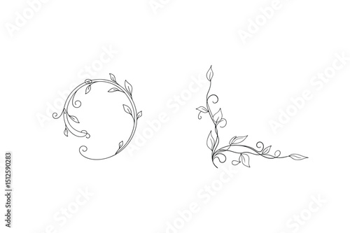 Elegant black and white floral designs featuring leafy vines and decorative swirls on white background