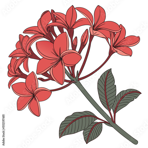 Stem Poise, Calm Petals, Botanic Swing, Bloom Sketch, Subtle Elegance, Whisper of Nature, Bend and Bloom