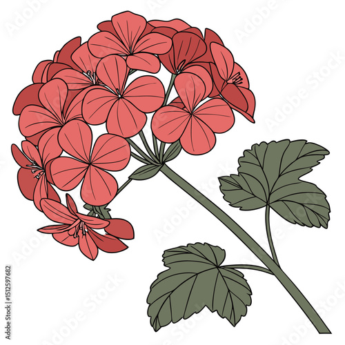 Tender Curl, Stem Poise, Calm Petals, Botanic Swing, Bloom Sketch, Subtle Elegance, Whisper of Nature