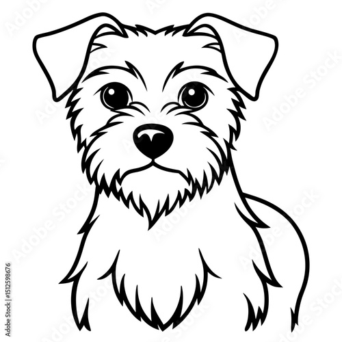 Minimal Border Terrier Vector on White