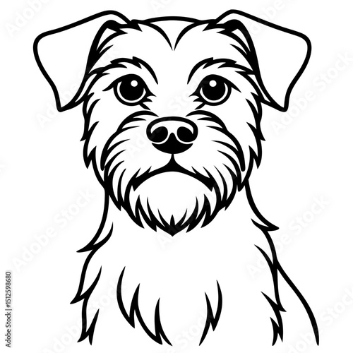 Minimal Border Terrier Vector on White